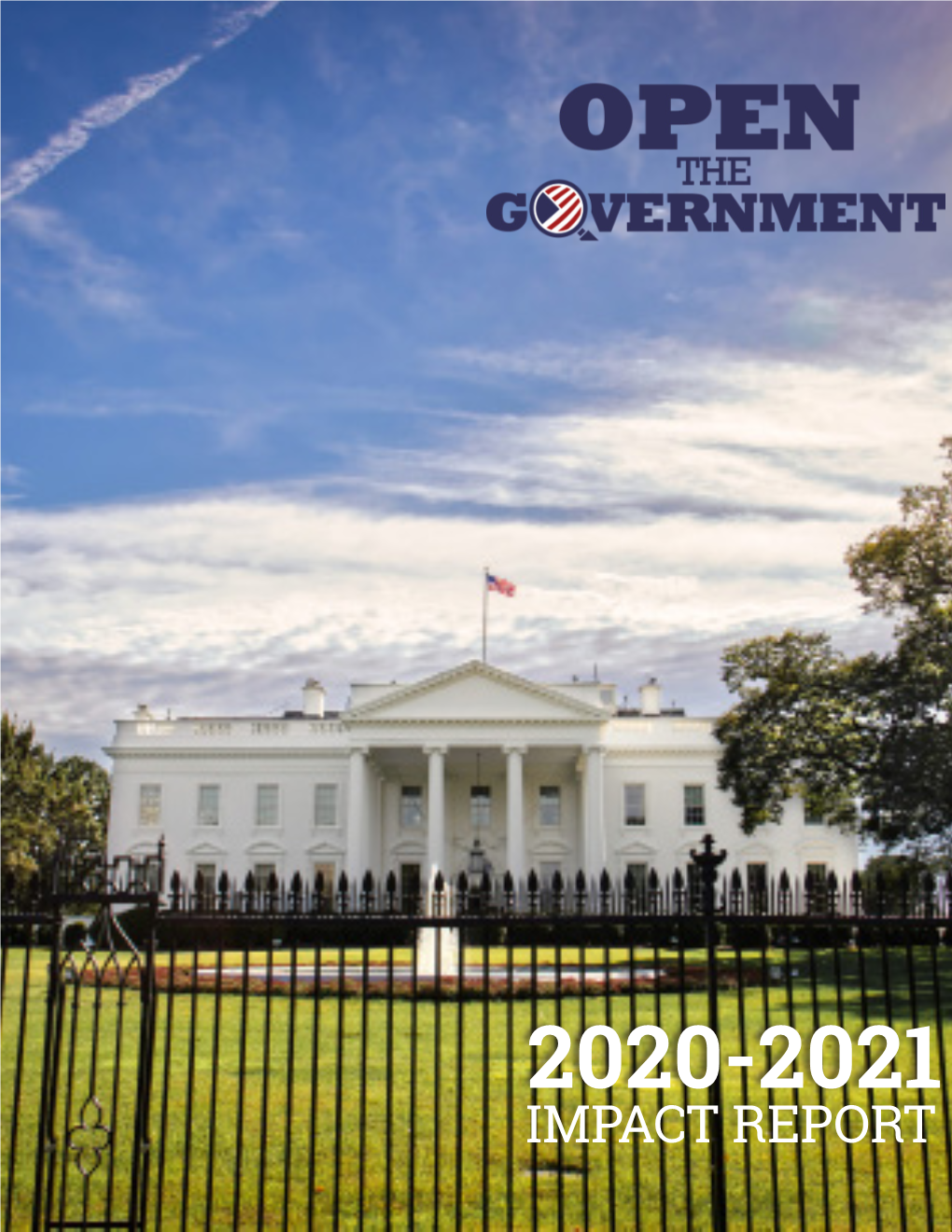 2020-2021 Impact Report
