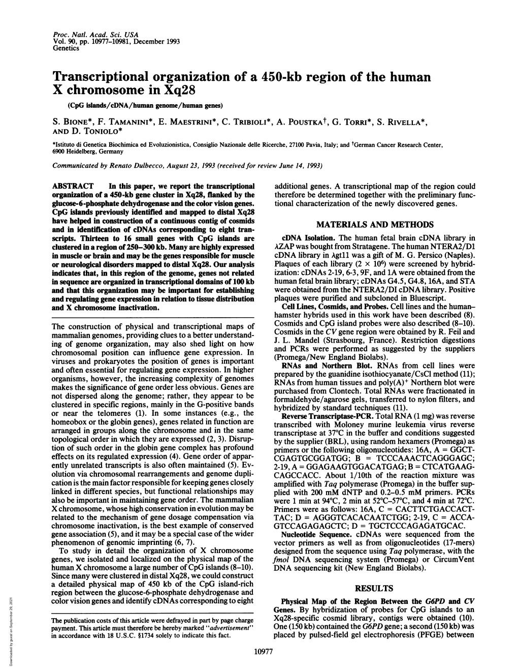 X Chromosome in Xq28 (Cpg Islands/Cdna/Human Genome/Human Genes) S