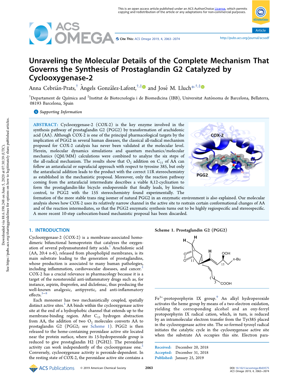 Unraveling the Molecular Details of the Complete Mechanism That