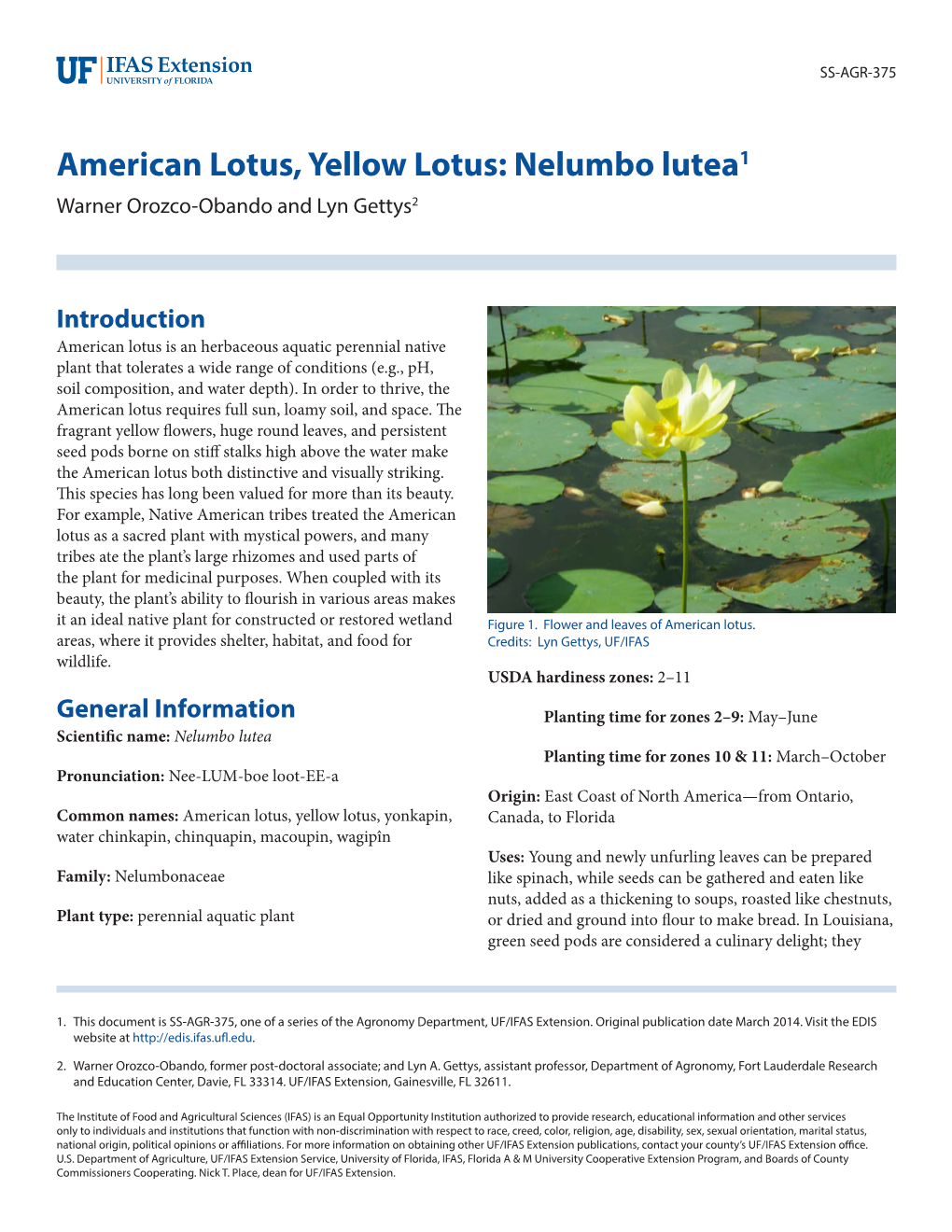 American Lotus, Yellow Lotus: Nelumbo Lutea1 Warner Orozco-Obando and Lyn Gettys2
