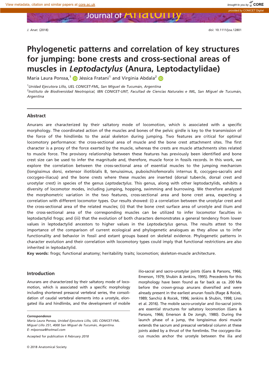 Phylogenetic Patterns and Correlation of Key Structures for Jumping