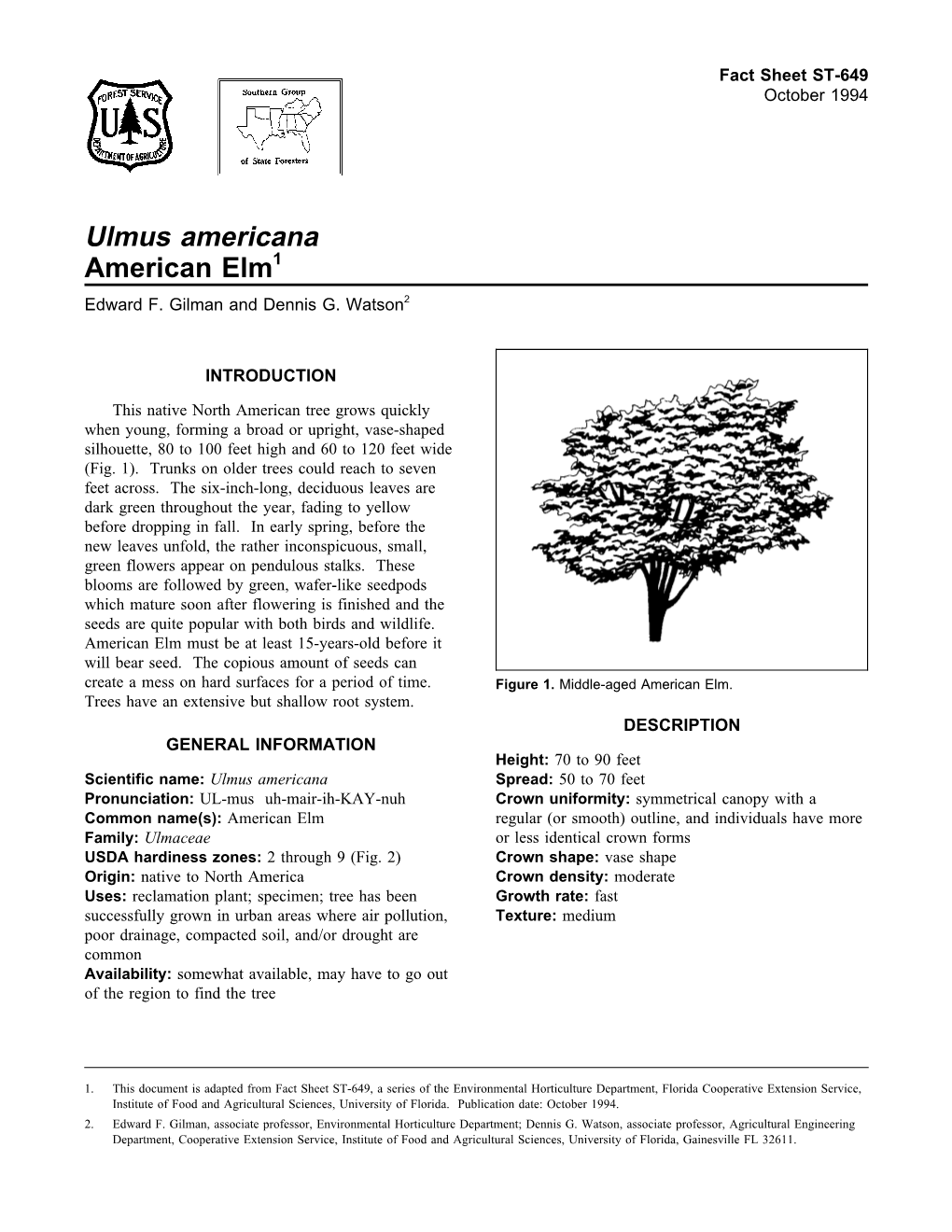 Ulmus Americana American Elm1 Edward F