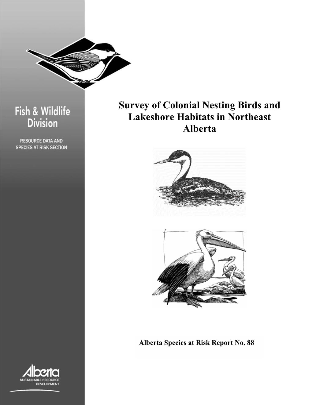 Survey of Colonial Nesting Birds and Lakeshore Habitats in Northeast Alberta