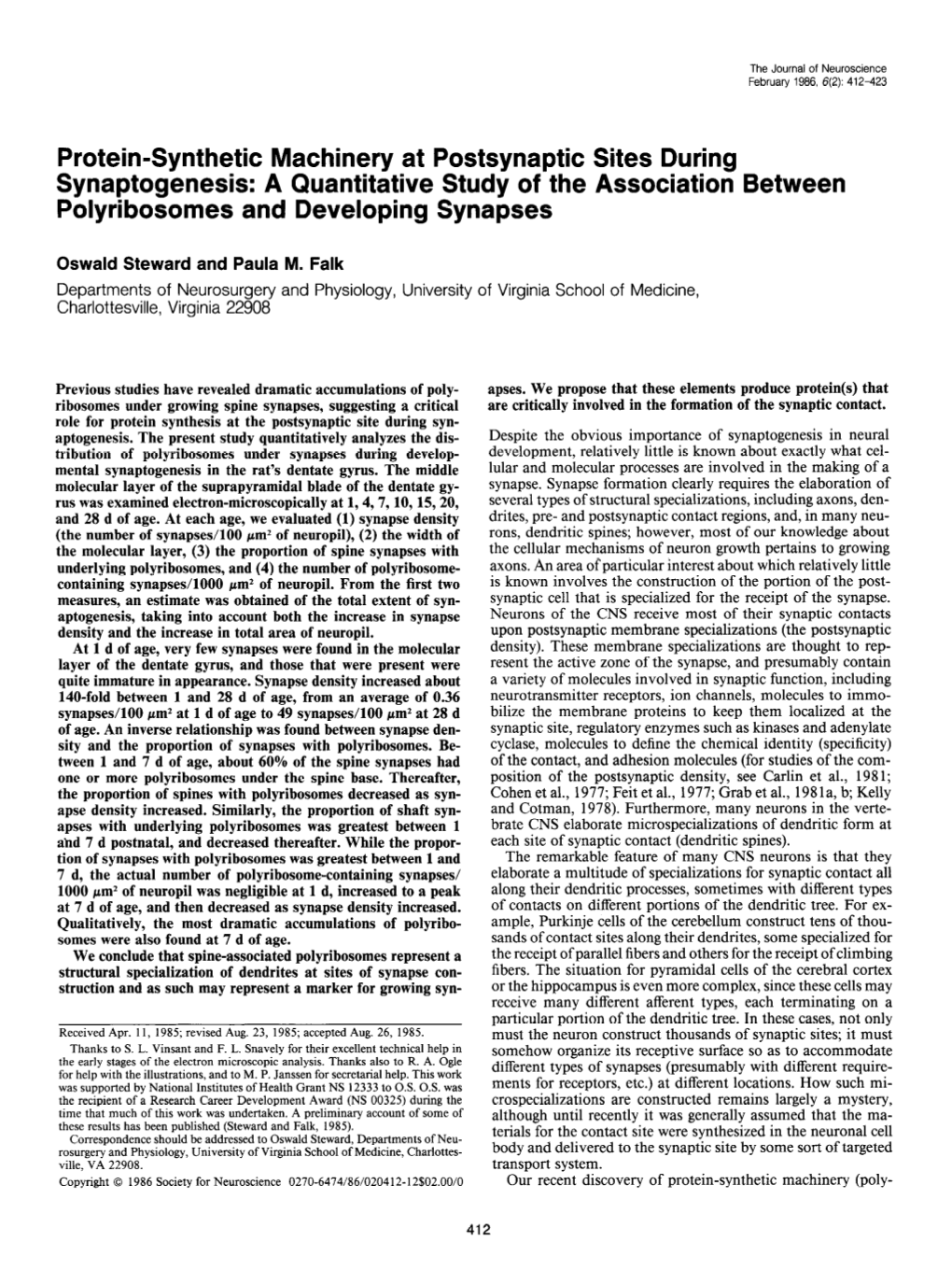 Protein-Synthetic Machinery at Postsynaptic Sites During Synaptogenesis: a Quantitative Study of the Association Between Polyribosomes and Developing Synapses