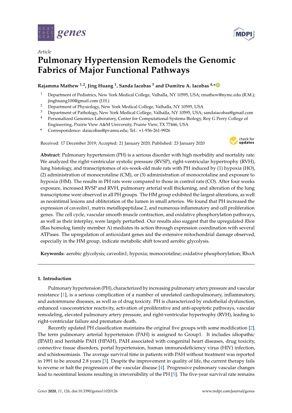 Pulmonary Hypertension Remodels the Genomic Fabrics of Major Functional Pathways