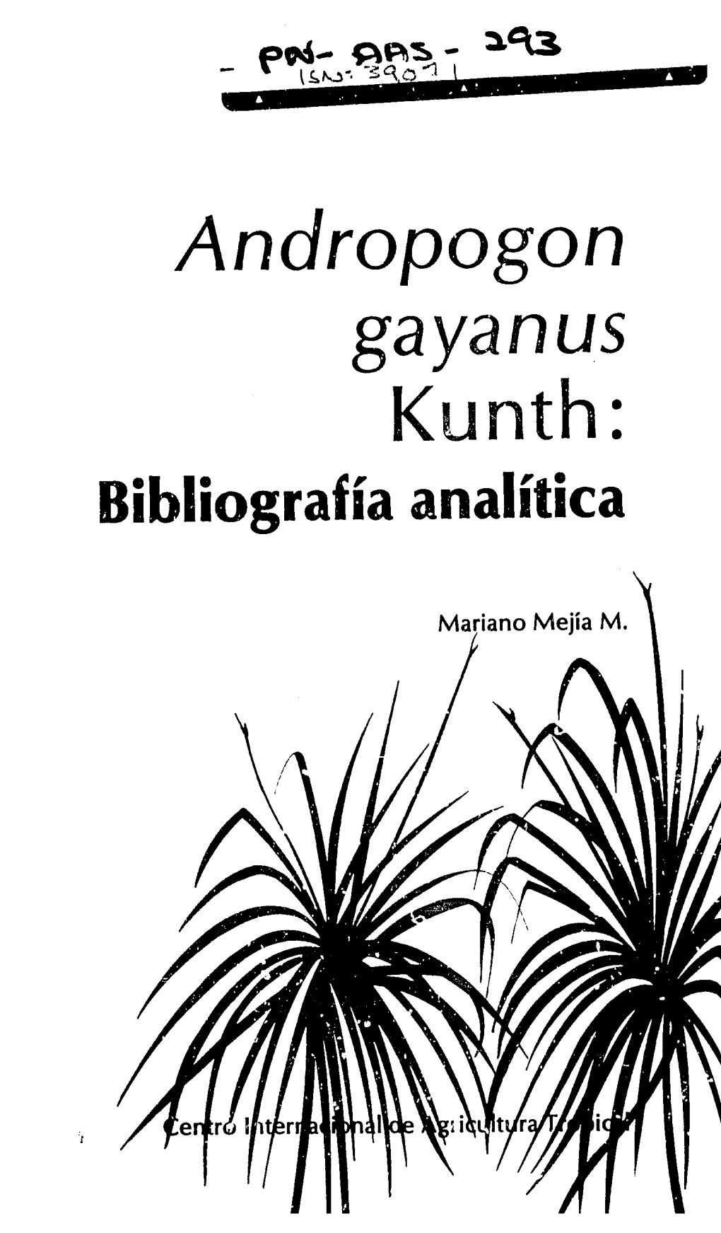 Andropogon Gayanus Kunth: Bibliografia Analitica