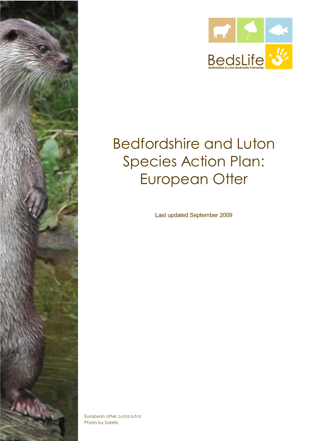 Bedfordshire and Luton Species Action Plan: European Otter