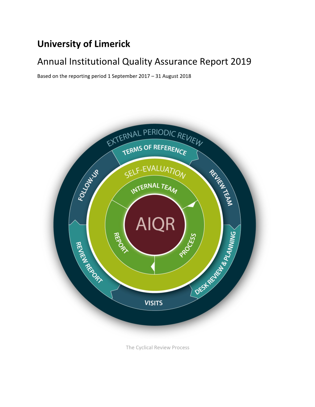 University of Limerick Annual Institutional Quality Assurance Report 2019