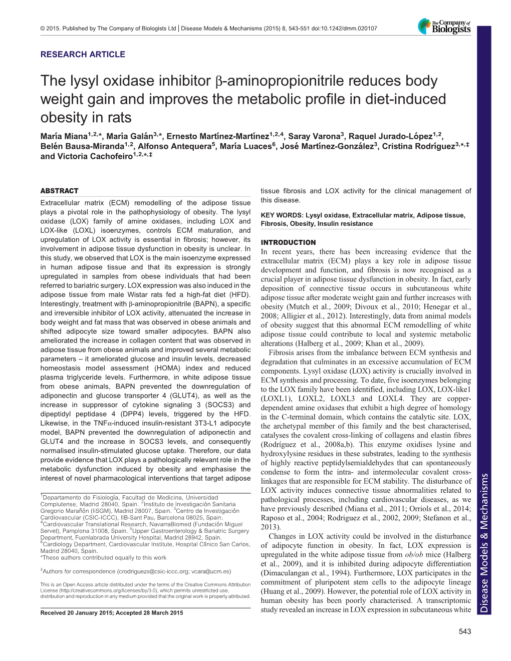 The Lysyl Oxidase Inhibitor Β-Aminopropionitrile Reduces Body