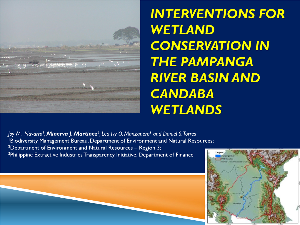 Minerva J Martinez: Interventions for Wetland Conservation in The