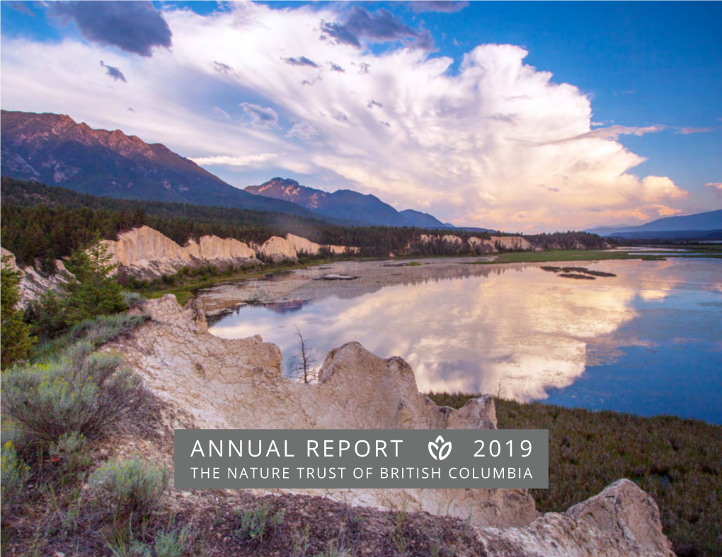 2019 Annual Report