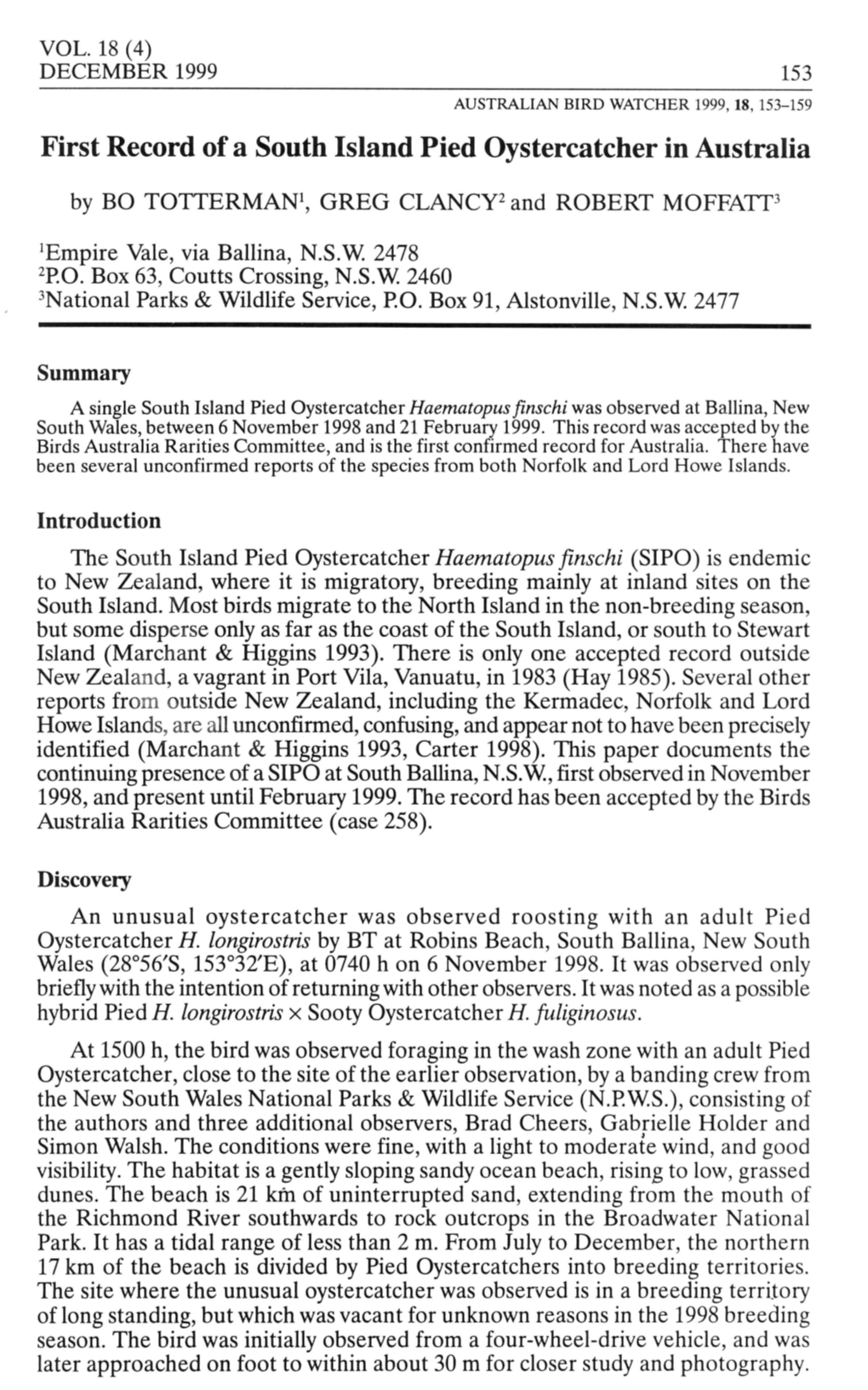 First Record of a South Island Pied Oystercatcher in Australia