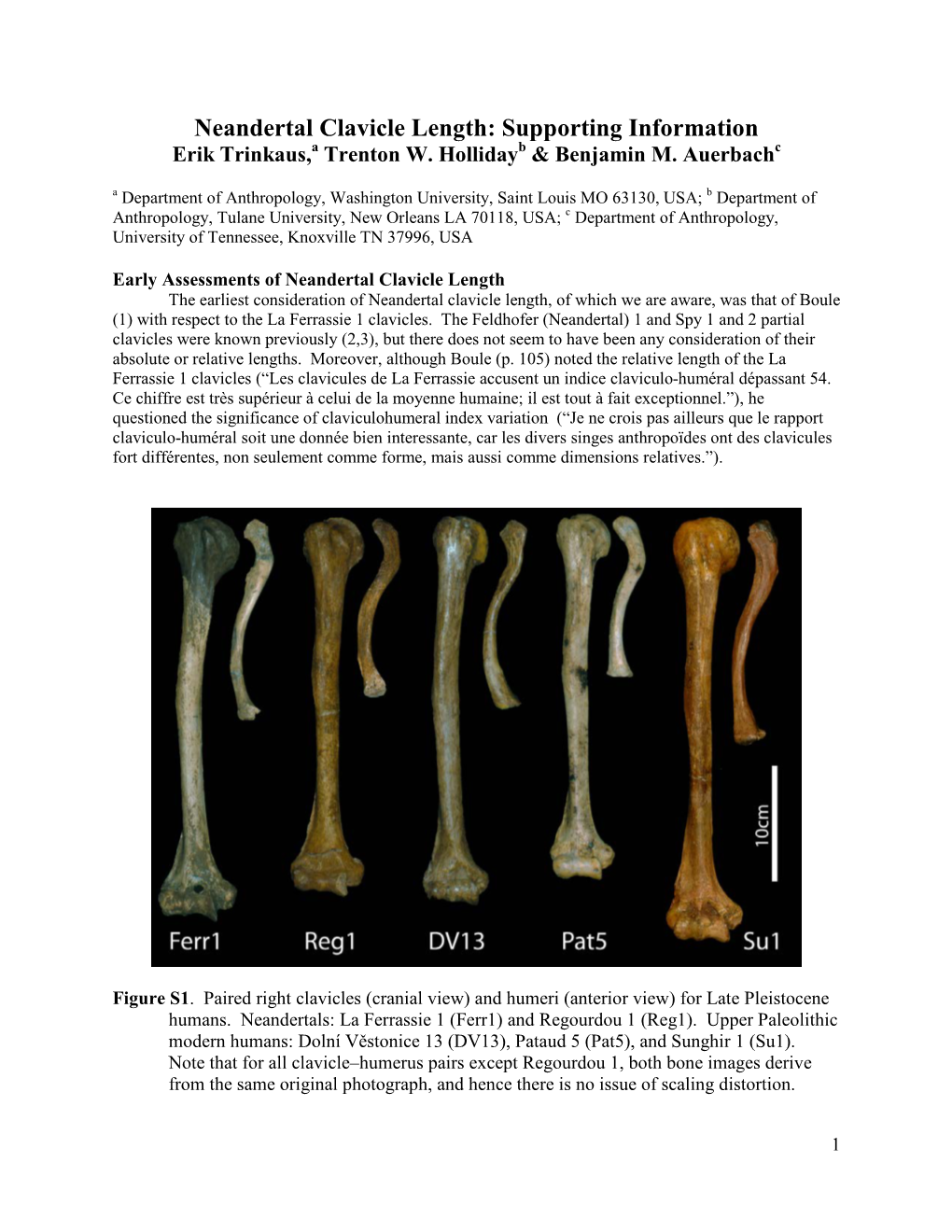 Neandertal Clavicle Length: Supporting Information Erik Trinkaus,A Trenton W