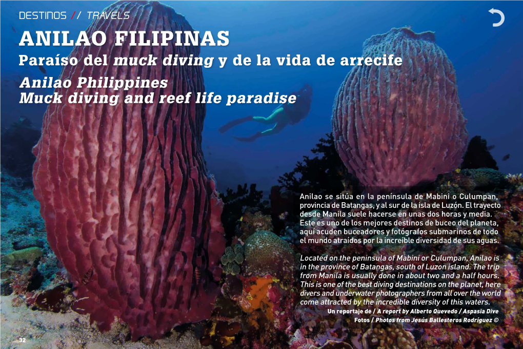 ANILAO Filipinas Paraíso Del Muck Diving Y De La Vida De Arrecife Anilao Philippines Muck Diving and Reef Life Paradise