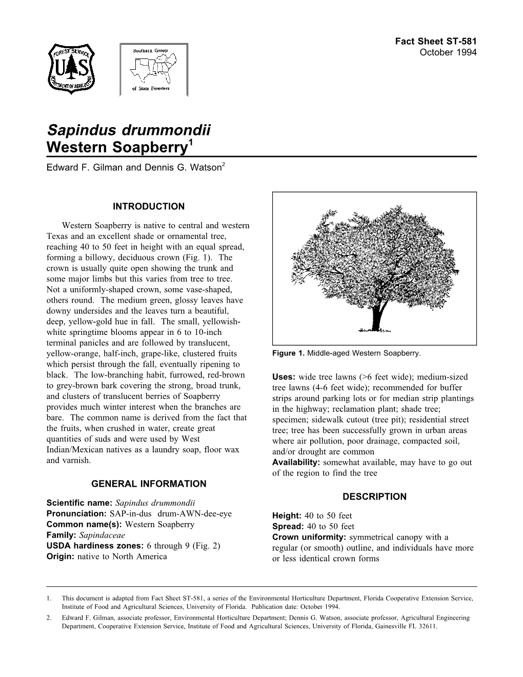 Sapindus Drummondii Western Soapberry1 Edward F