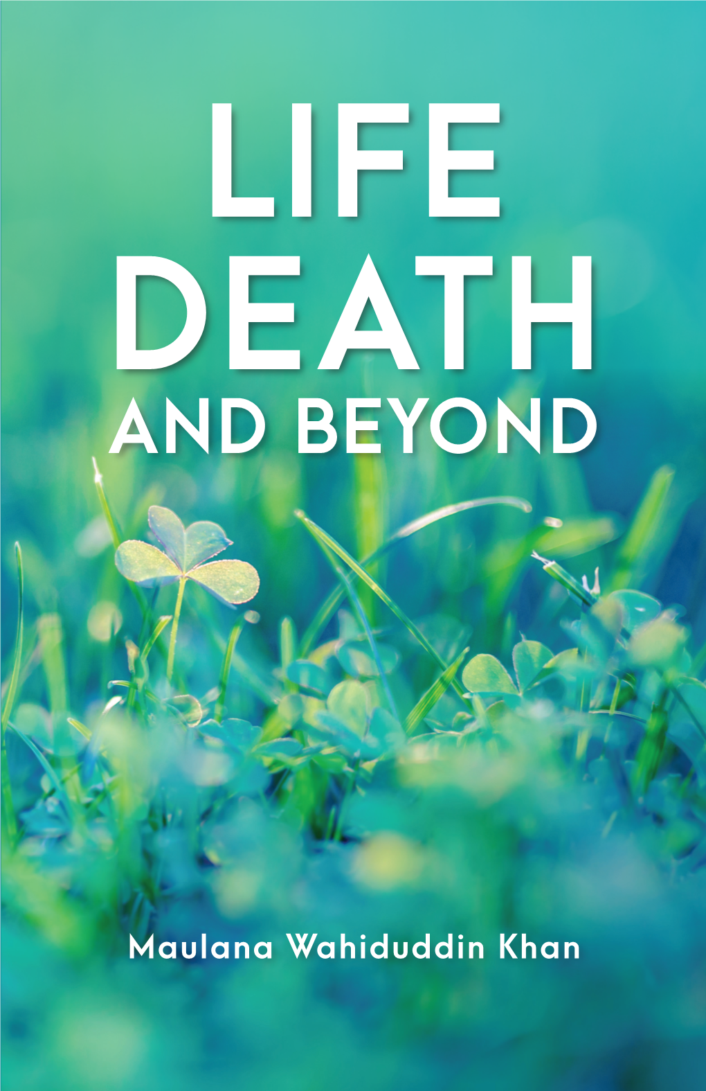 Life Death and Beyond