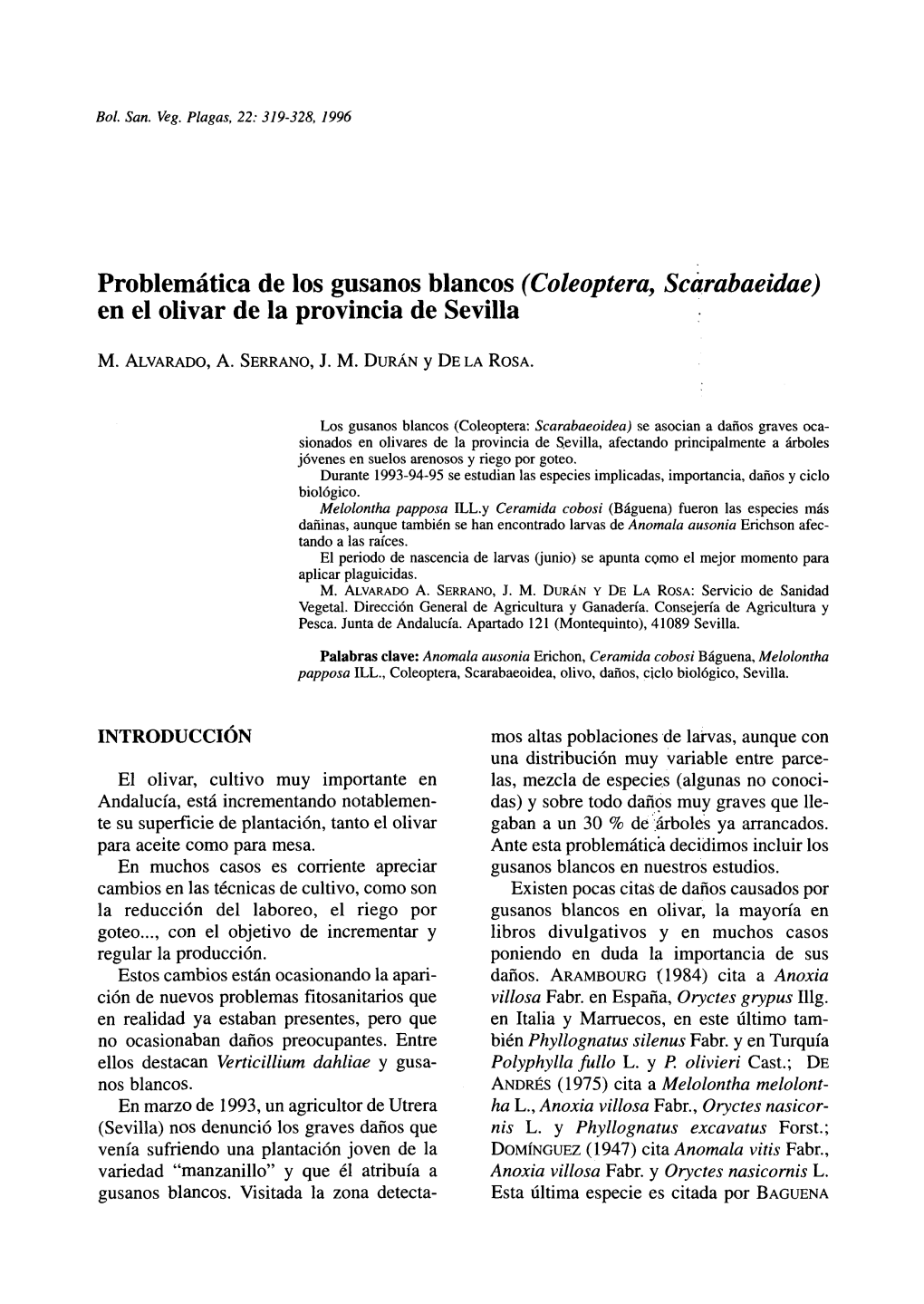 Problemática De Los Gusanos Blancos (Coleoptera, Scarabaeidae) En El Olivar De La Provincia De Sevilla