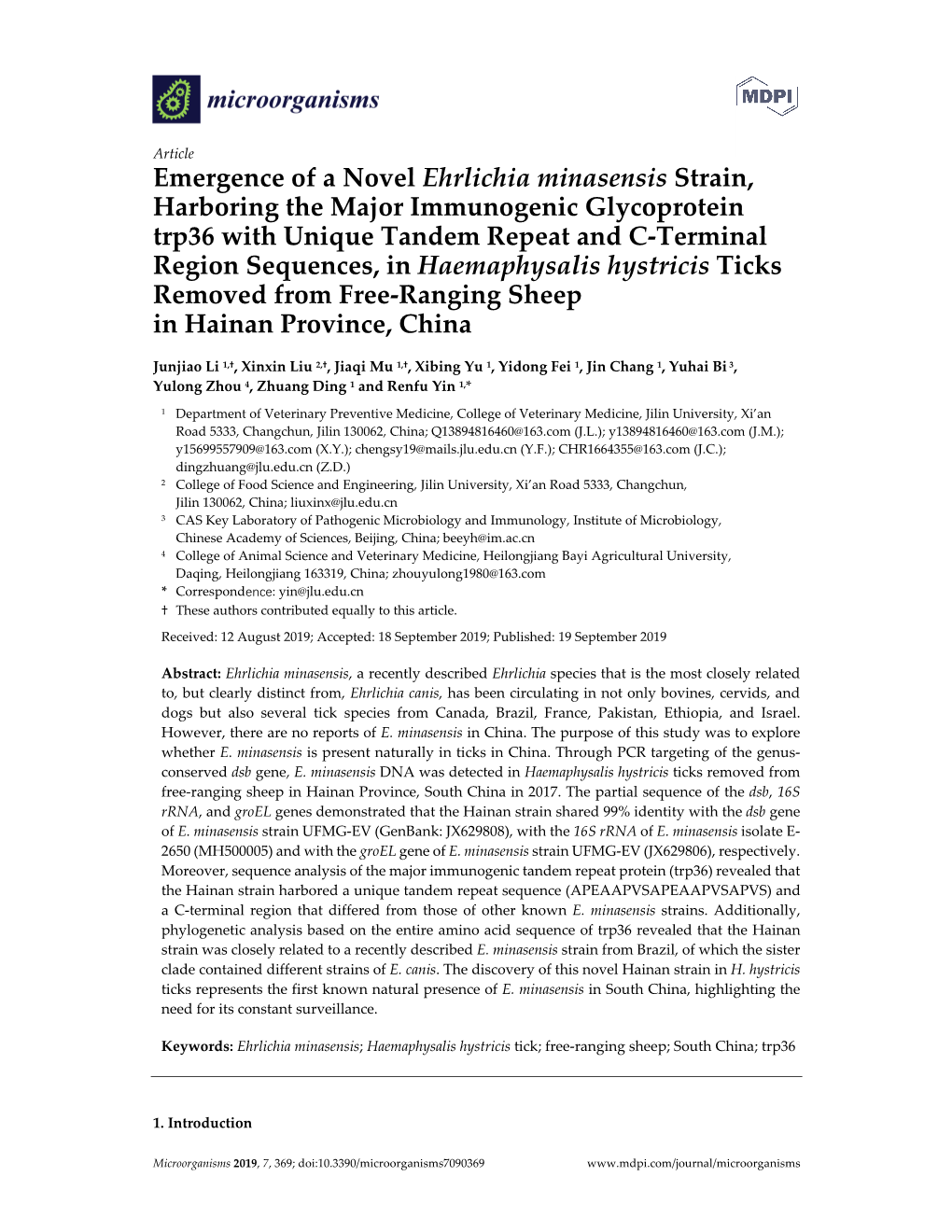 Emergence of a Novel Ehrlichia Minasensis Strain, Harboring The