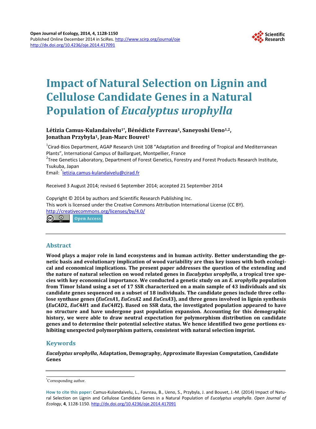 Impact of Natural Selection on Lignin and Cellulose Candidate Genes in a Natural Population of Eucalyptus Urophylla