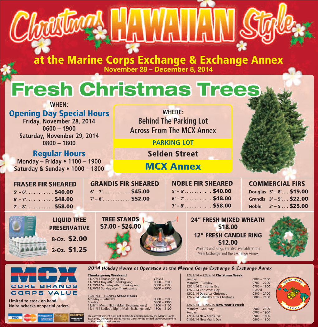 Fresh Christmas Trees