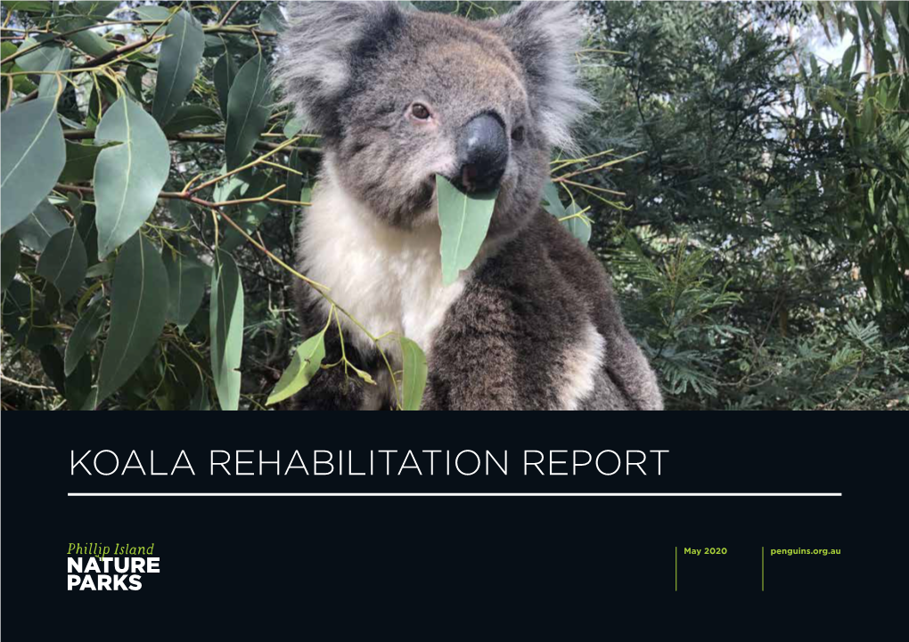 Koala Rehabilitation Report