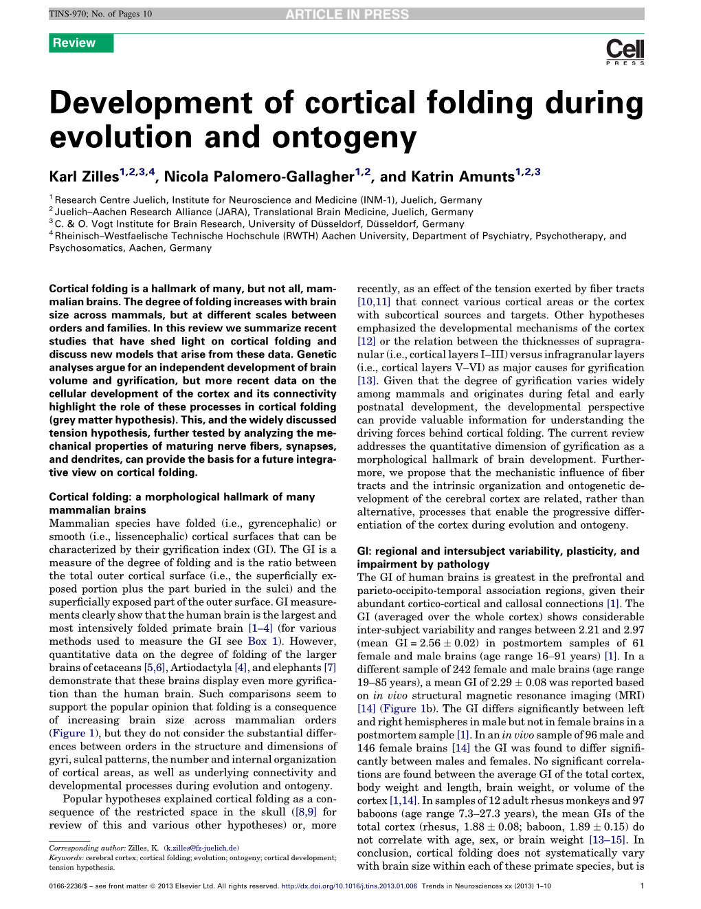 Development of Cortical Folding During Evolution and Ontogeny