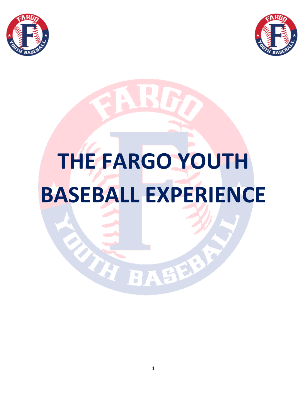 The Fargo Youth Baseball Experience