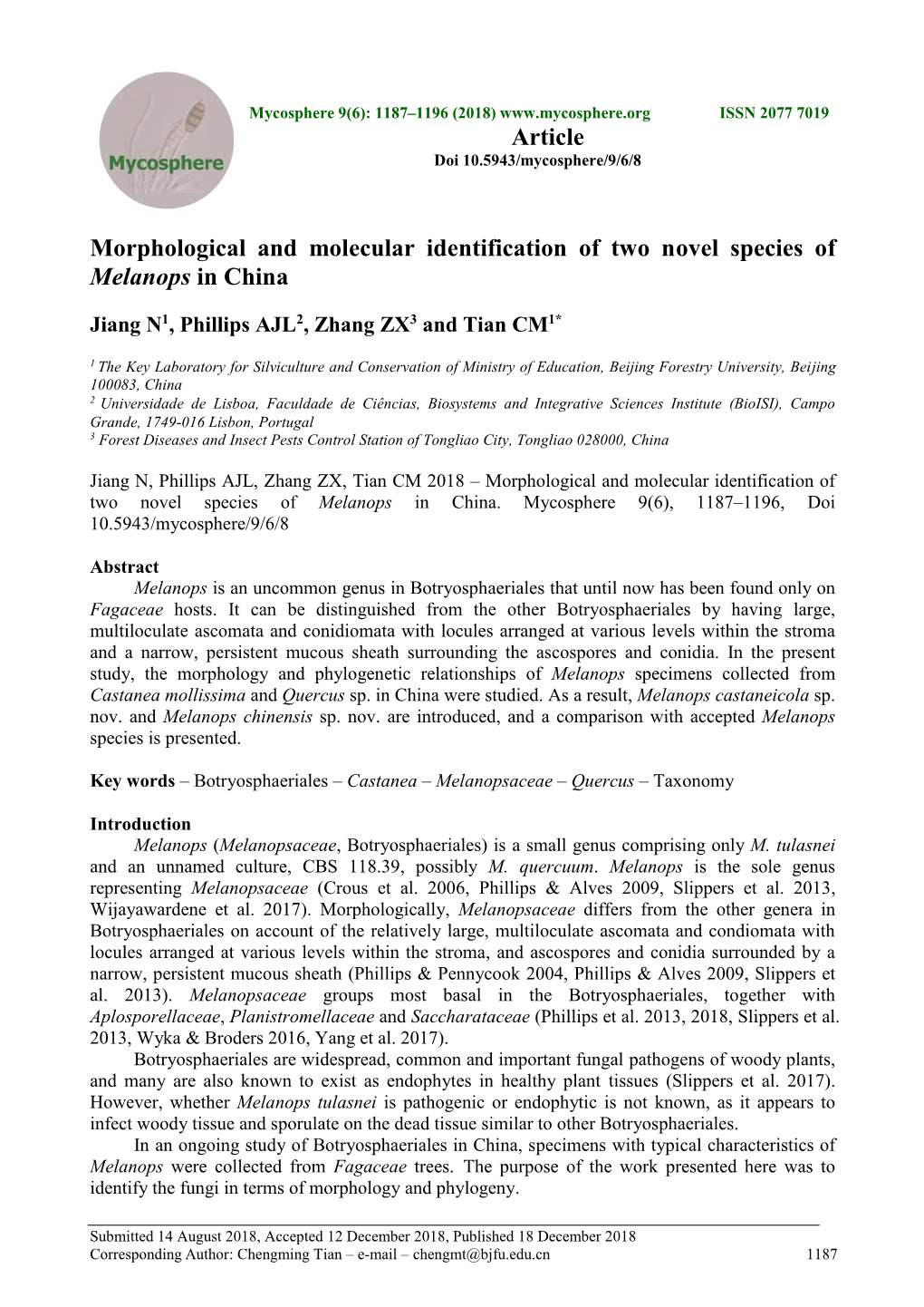 Morphological and Molecular Identification of Two Novel Species of Melanops in China