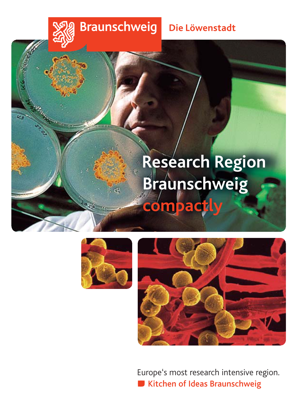 Research Region Braunschweig Compactly