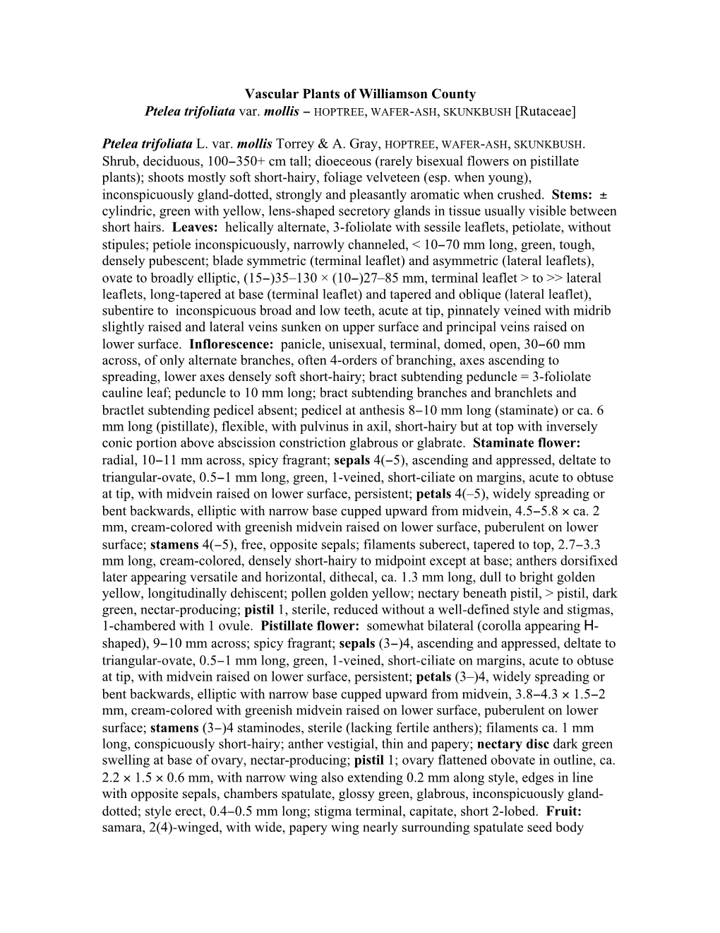 Vascular Plants of Williamson County Ptelea Trifoliata Var. Mollis − HOPTREE, WAFER-ASH, SKUNKBUSH [Rutaceae] Ptelea Trifoliat