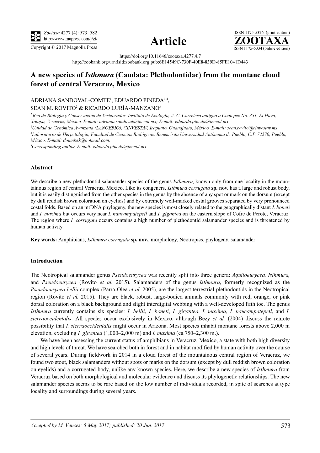 A New Species of Isthmura (Caudata: Plethodontidae) from the Montane Cloud Forest of Central Veracruz, Mexico