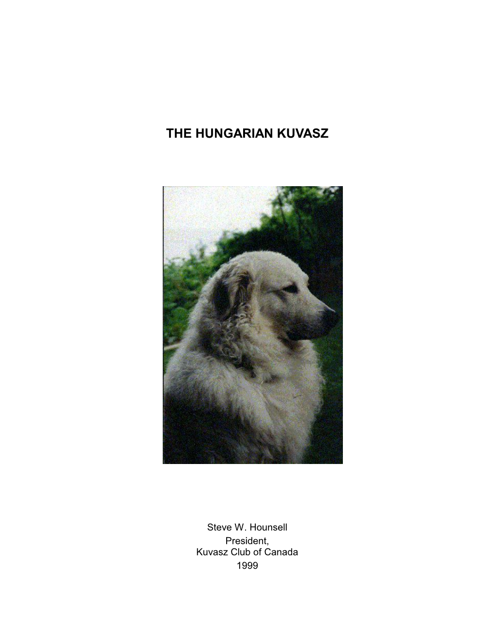 The Hungarian Kuvasz