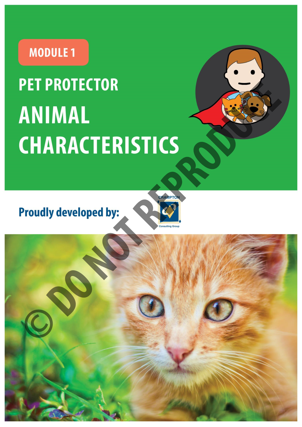 Pet Protector Cat - Module 1: Animal Characteristics