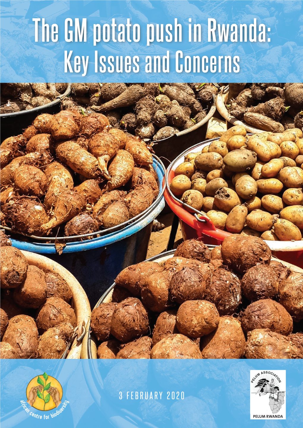 The GM Potato Push in Rwanda: Key Issues and Concerns