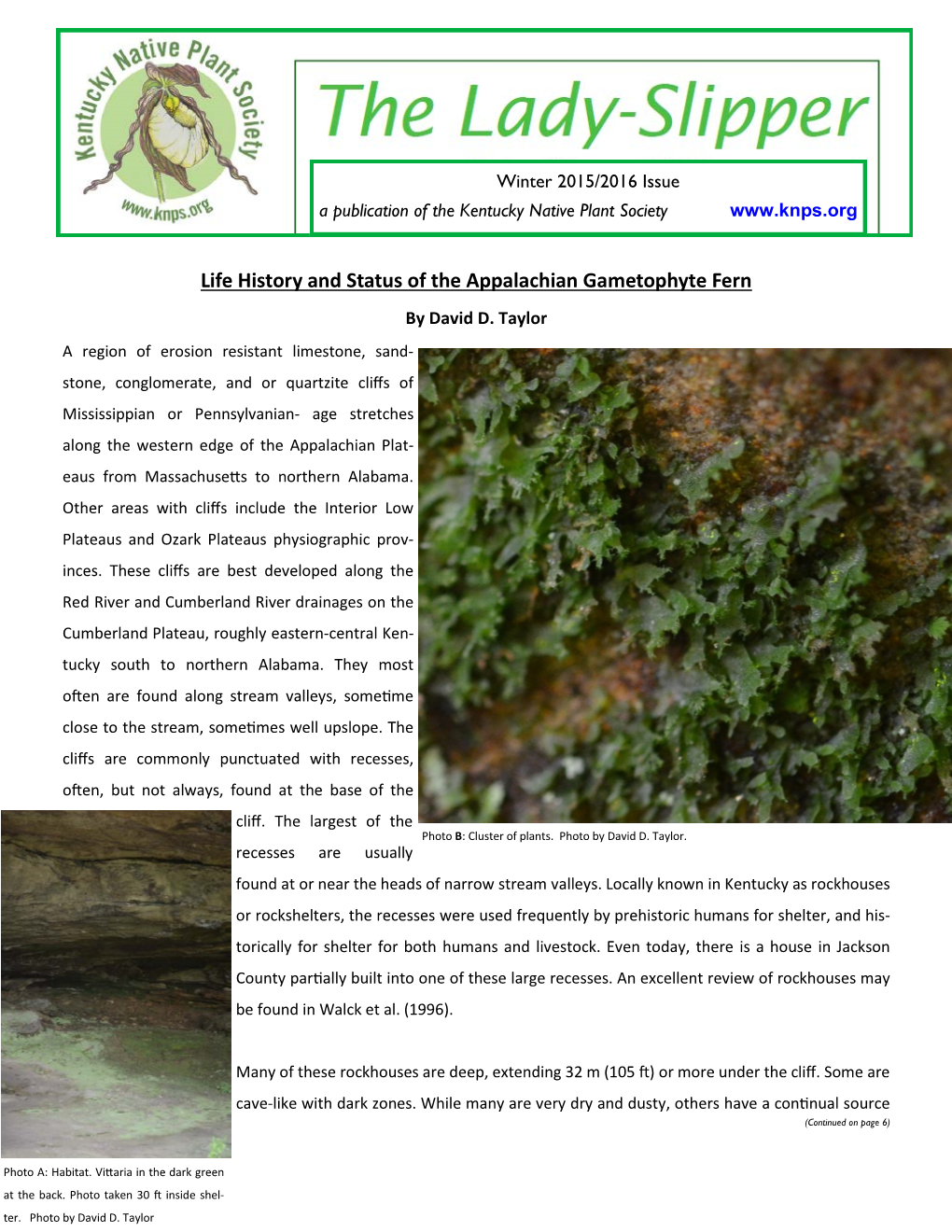 Life History and Status of the Appalachian Gametophyte Fern by David D