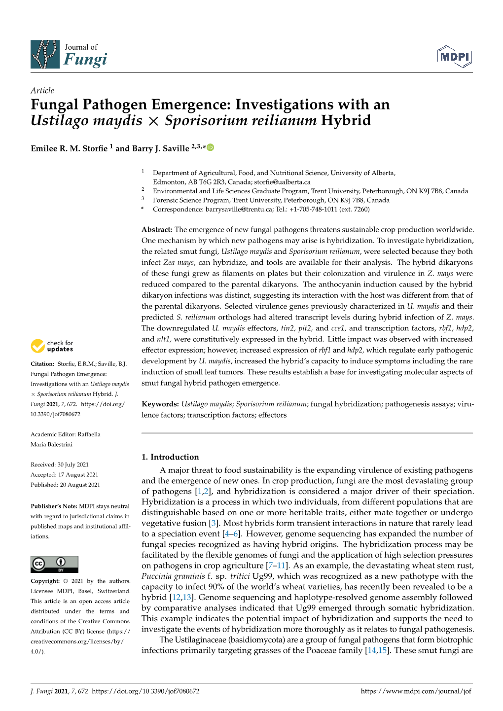 Investigations with an Ustilago Maydis × Sporisorium Reilianum Hybrid