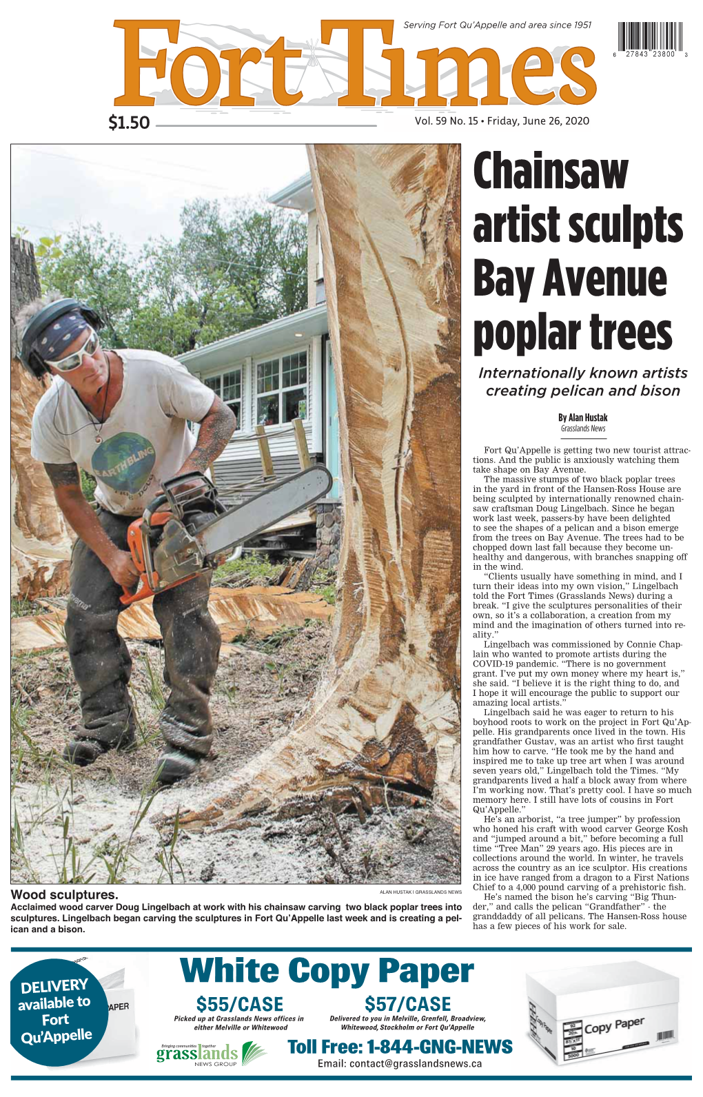 Chainsaw Artist Sculpts Bay Avenue Poplar Trees Internationally Known Artists Creating Pelican and Bison