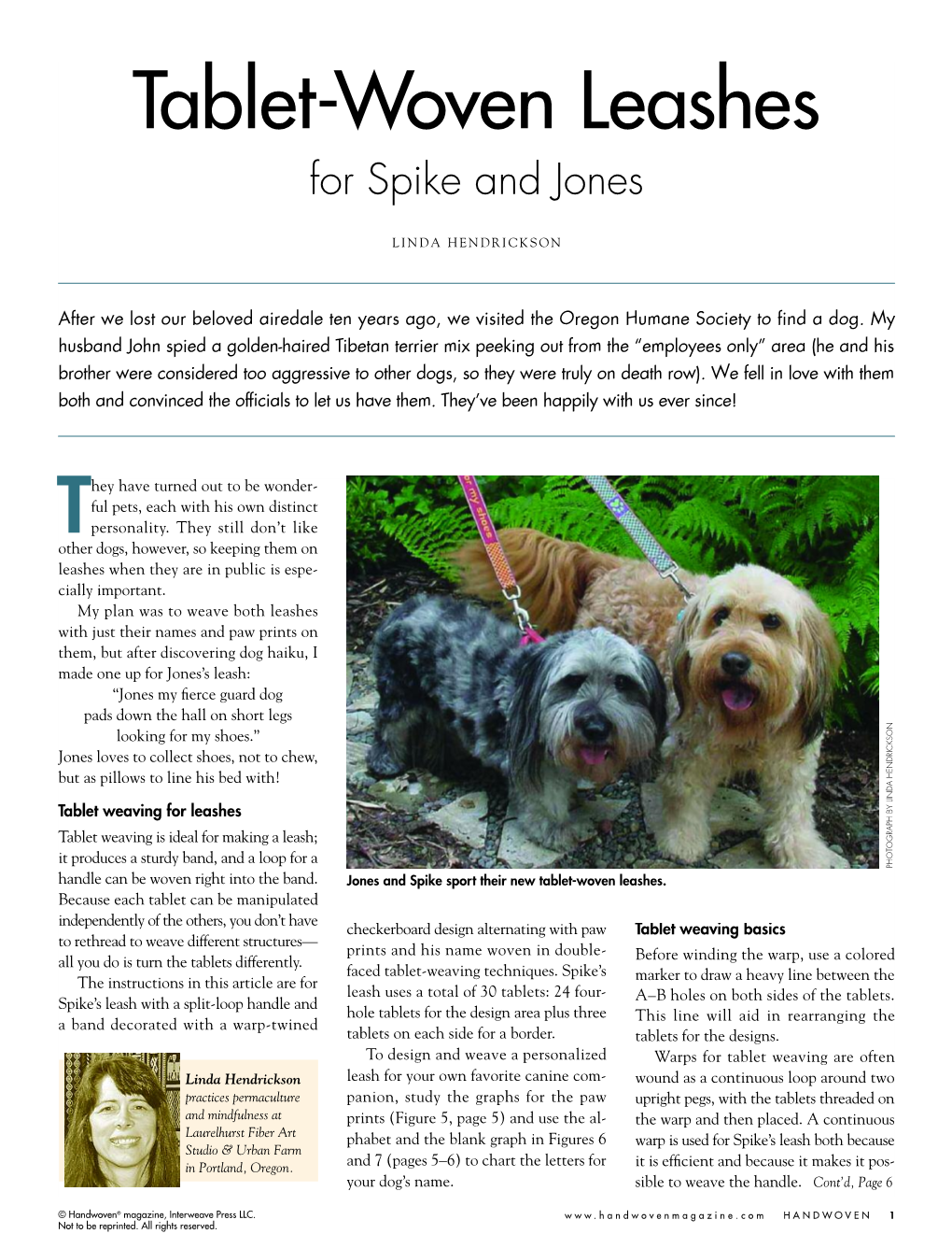 Tablet-Woven Leashes for Spike and Jones