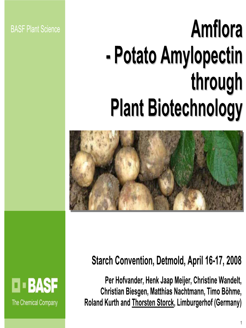 Potato Starch: Amylopectin and Amylose
