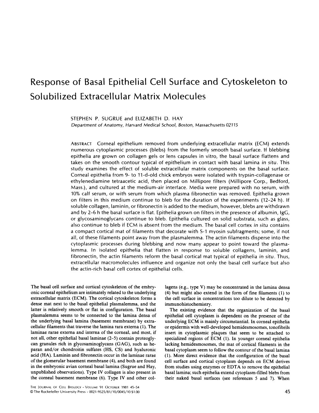 Response of Basal Epithelial Cell Surface and Cytoskeleton to Solubilized Extracellular Matrix Molecules