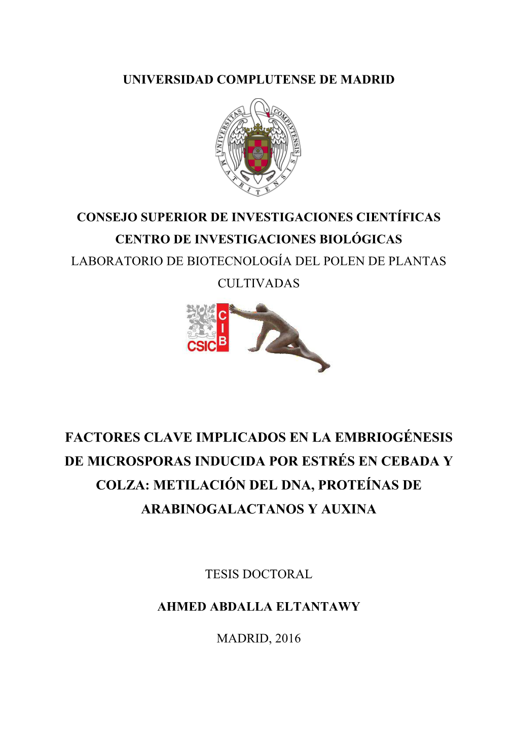 Metilación Del Dna, Proteínas De Arabinogalactanos Y Auxina