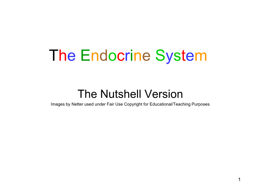 The Endocrine System