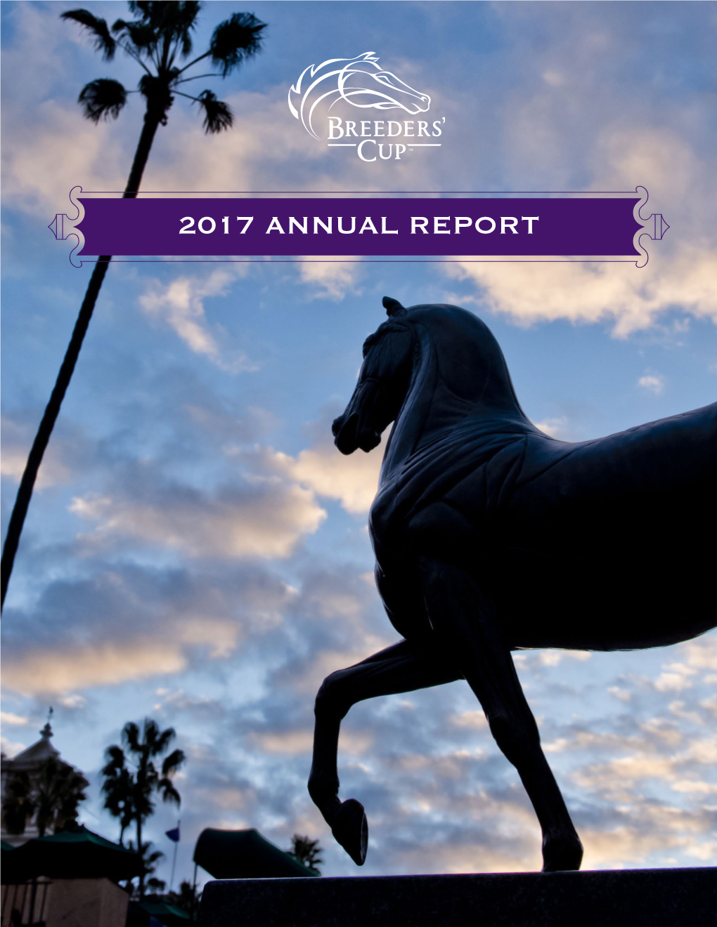 2017 Annual Report