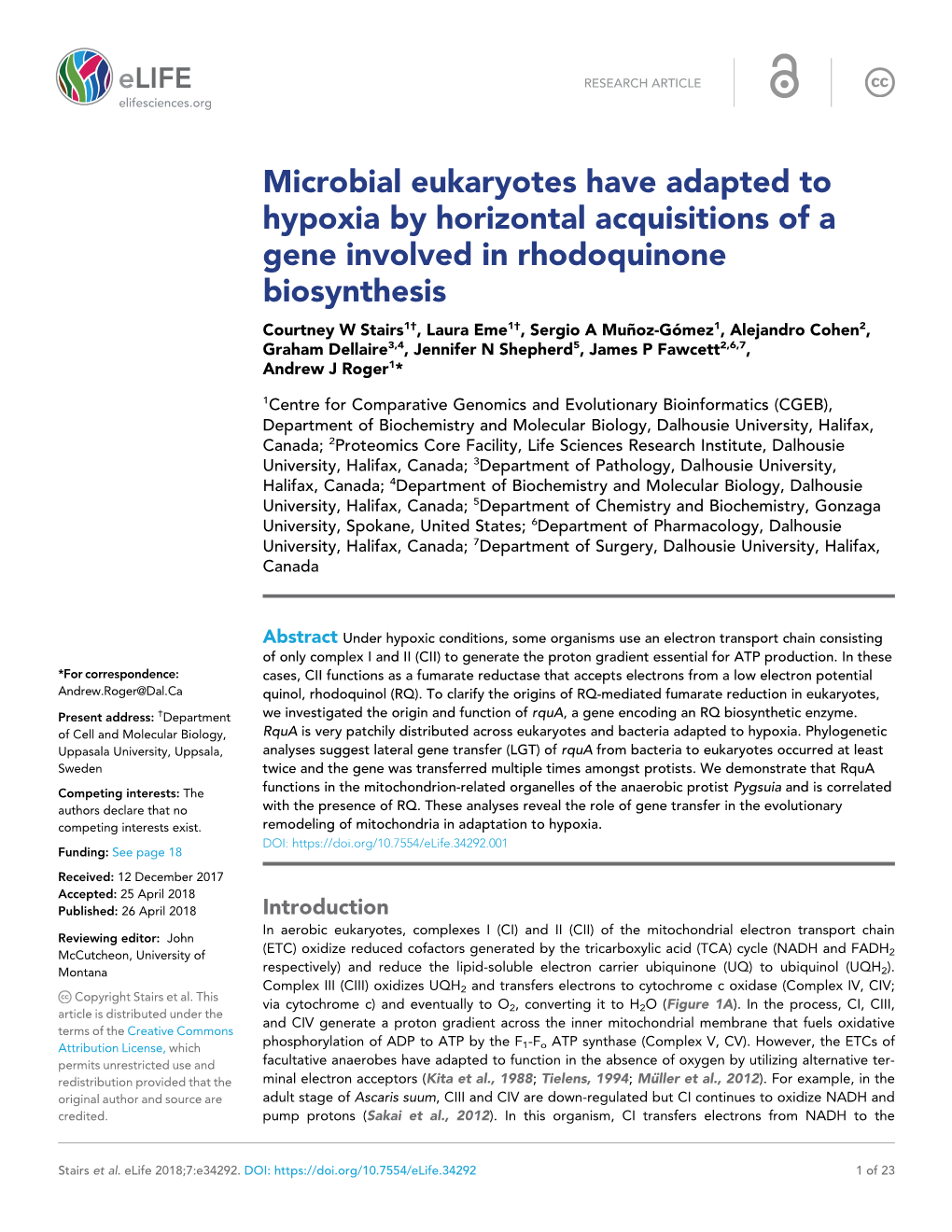 Microbial Eukaryotes Have Adapted to Hypoxia by Horizontal Acquisitions of a Gene Involved in Rhodoquinone Biosynthesis