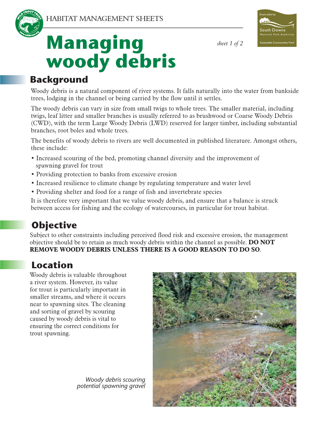 Managing Woody Debris