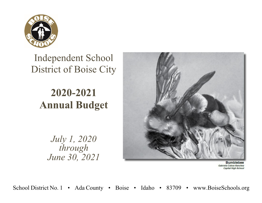 BSD 2020-2021 Annual Budget