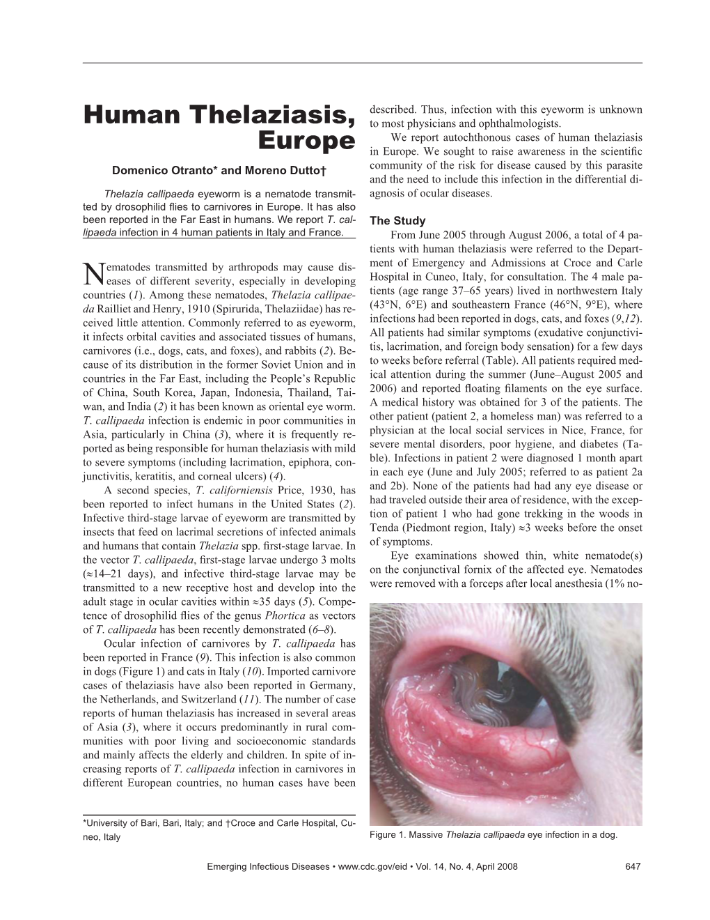 Human Thelaziasis, Europe, 2005–2006 No