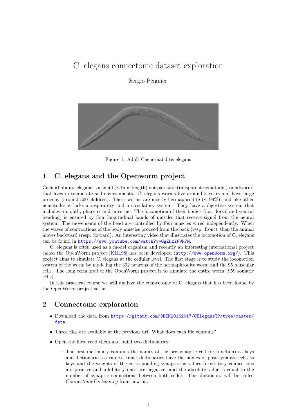 C. Elegans Connectome I