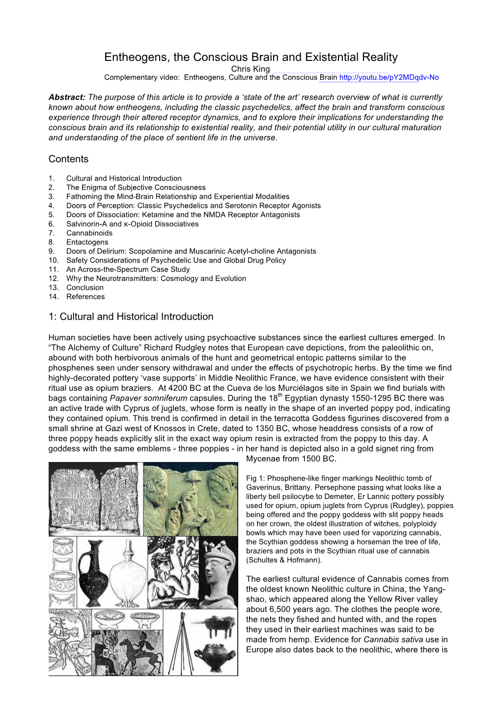 Entheogens, the Conscious Brain and Existential Reality Chris King Complementary Video: Entheogens, Culture and the Conscious Brain