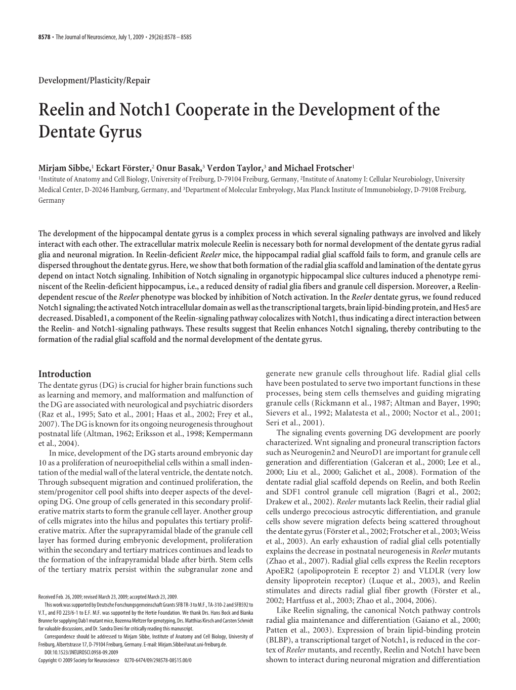 Reelin and Notch1 Cooperate in the Development of the Dentate Gyrus